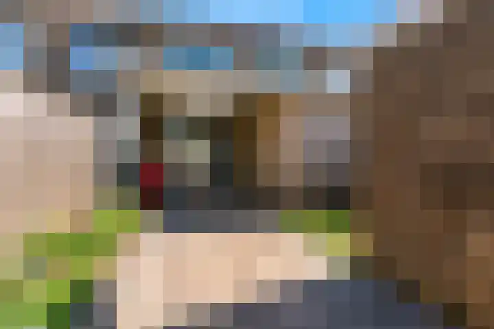 Fruitlaan 23 Zwaag thumbnail 39