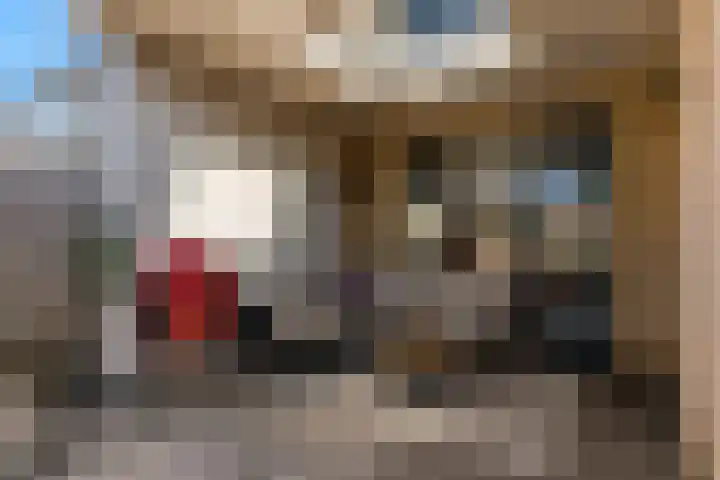 Fruitlaan 23 Zwaag thumbnail 4