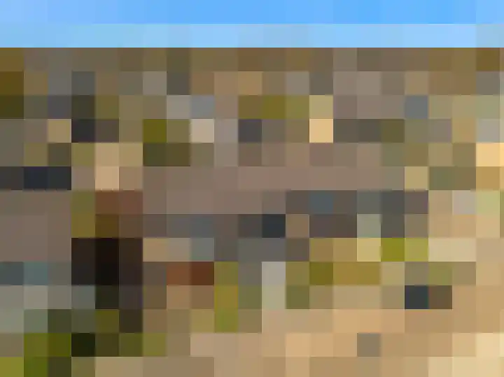 Fruitlaan 23 Zwaag thumbnail 41