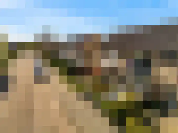 Fruitlaan 23 Zwaag thumbnail 44