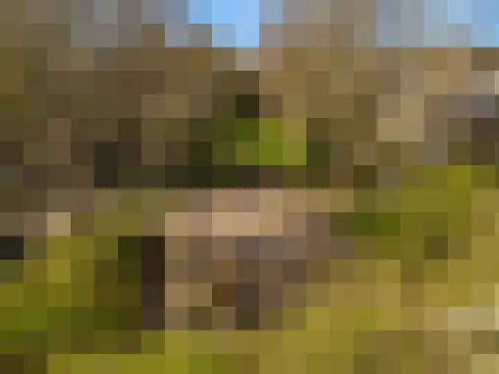 Fruitlaan 23 Zwaag thumbnail 45