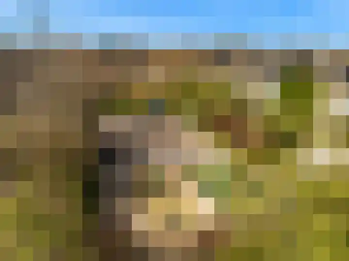 Fruitlaan 23 Zwaag thumbnail 46