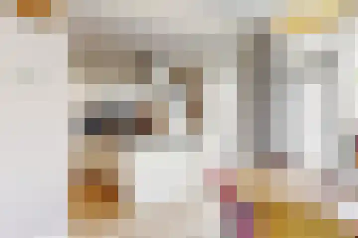 Fruitlaan 23 Zwaag thumbnail 9