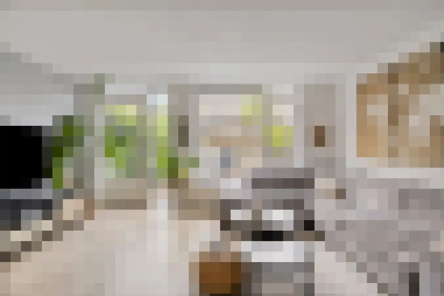 Fruitlaan 24 Bemmel thumbnail 21
