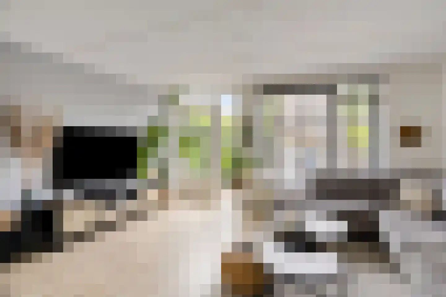 Fruitlaan 24 Bemmel thumbnail 24