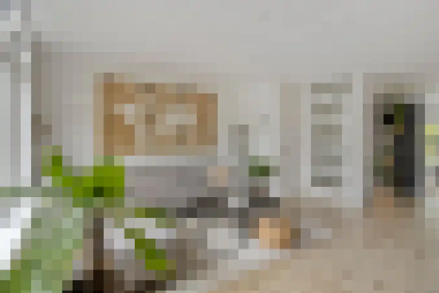 Fruitlaan 24 Bemmel thumbnail 28