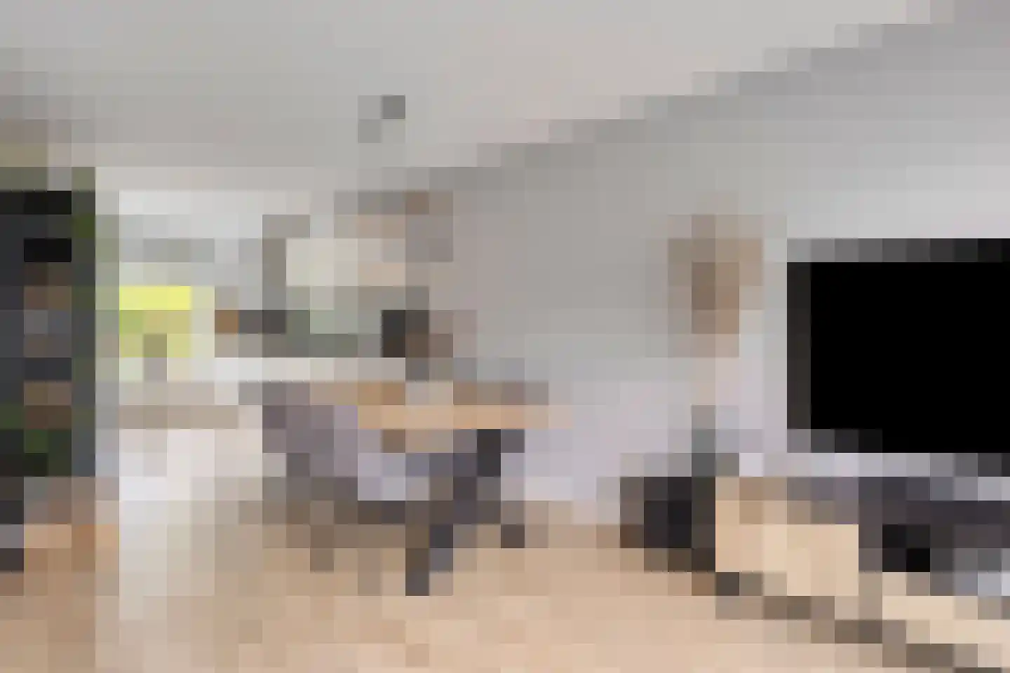 Fruitlaan 24 Bemmel thumbnail 30