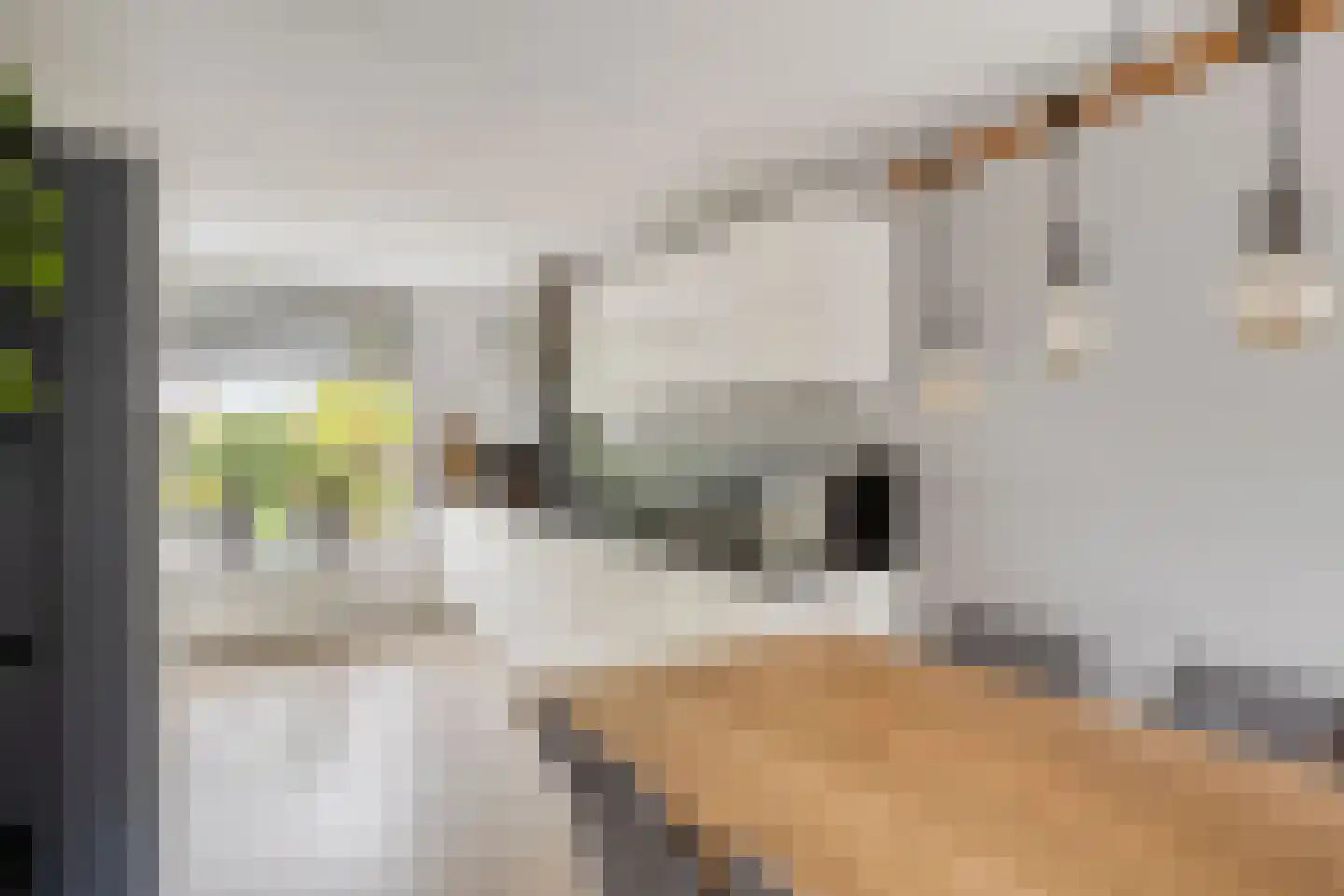 Fruitlaan 24 Bemmel thumbnail 33