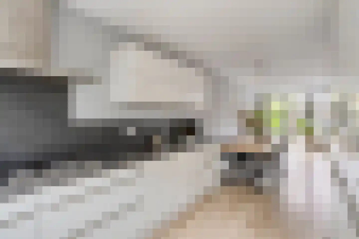 Fruitlaan 24 Bemmel thumbnail 36