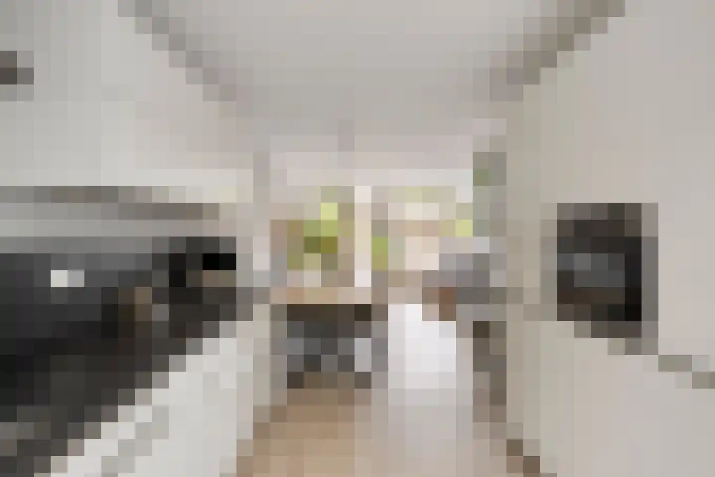 Fruitlaan 24 Bemmel thumbnail 37