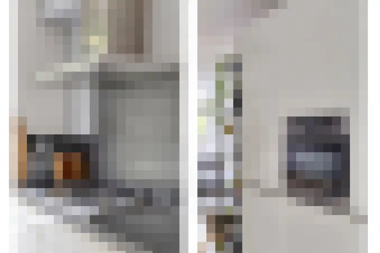 Fruitlaan 24 Bemmel thumbnail 39