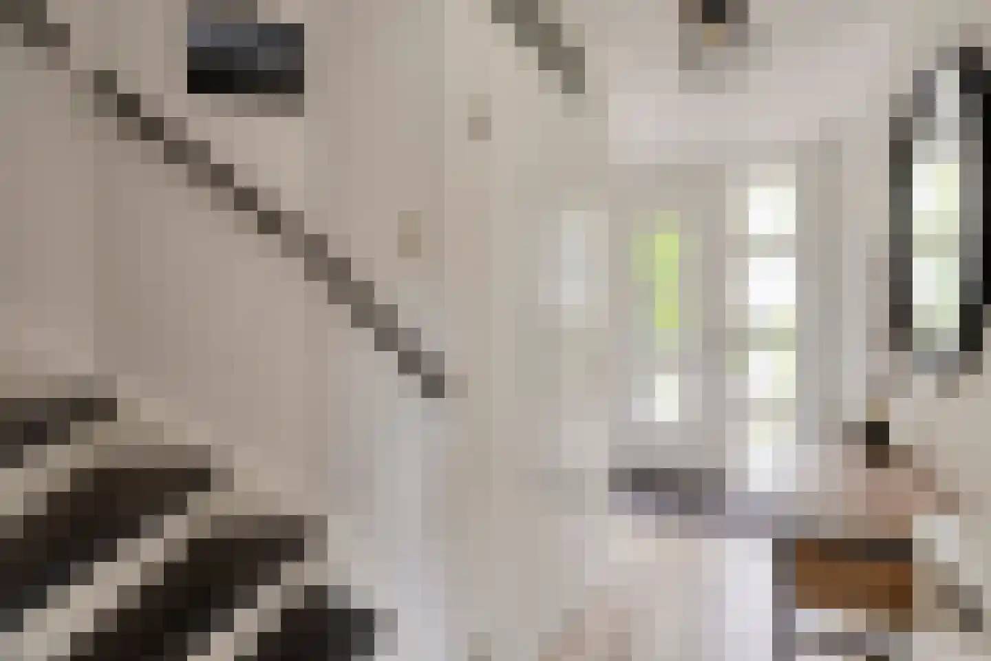 Fruitlaan 24 Bemmel thumbnail 41
