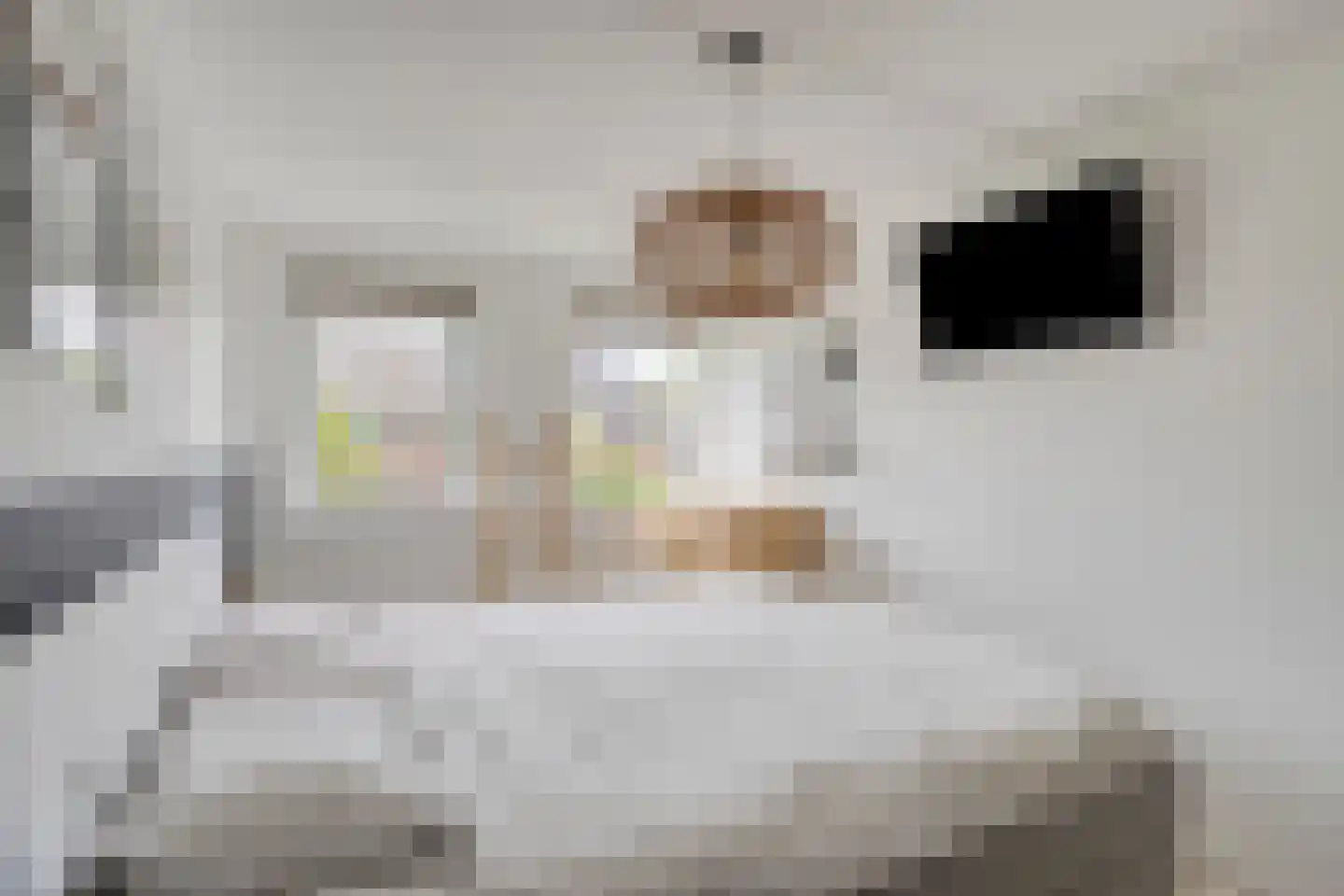 Fruitlaan 24 Bemmel thumbnail 43
