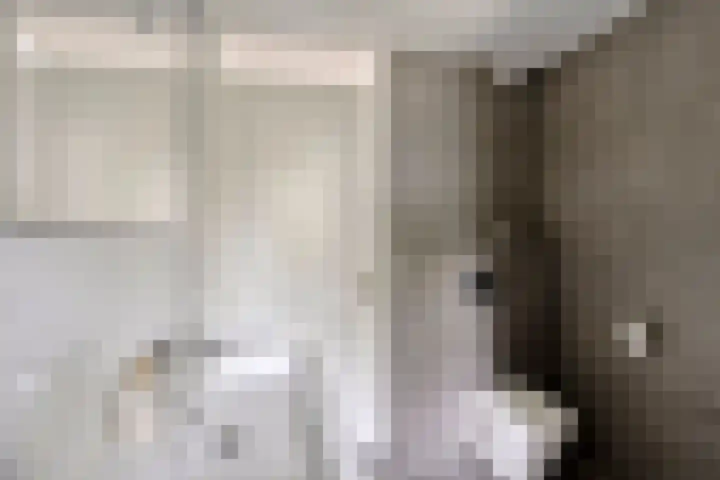 Fruitlaan 24 Bemmel thumbnail 48