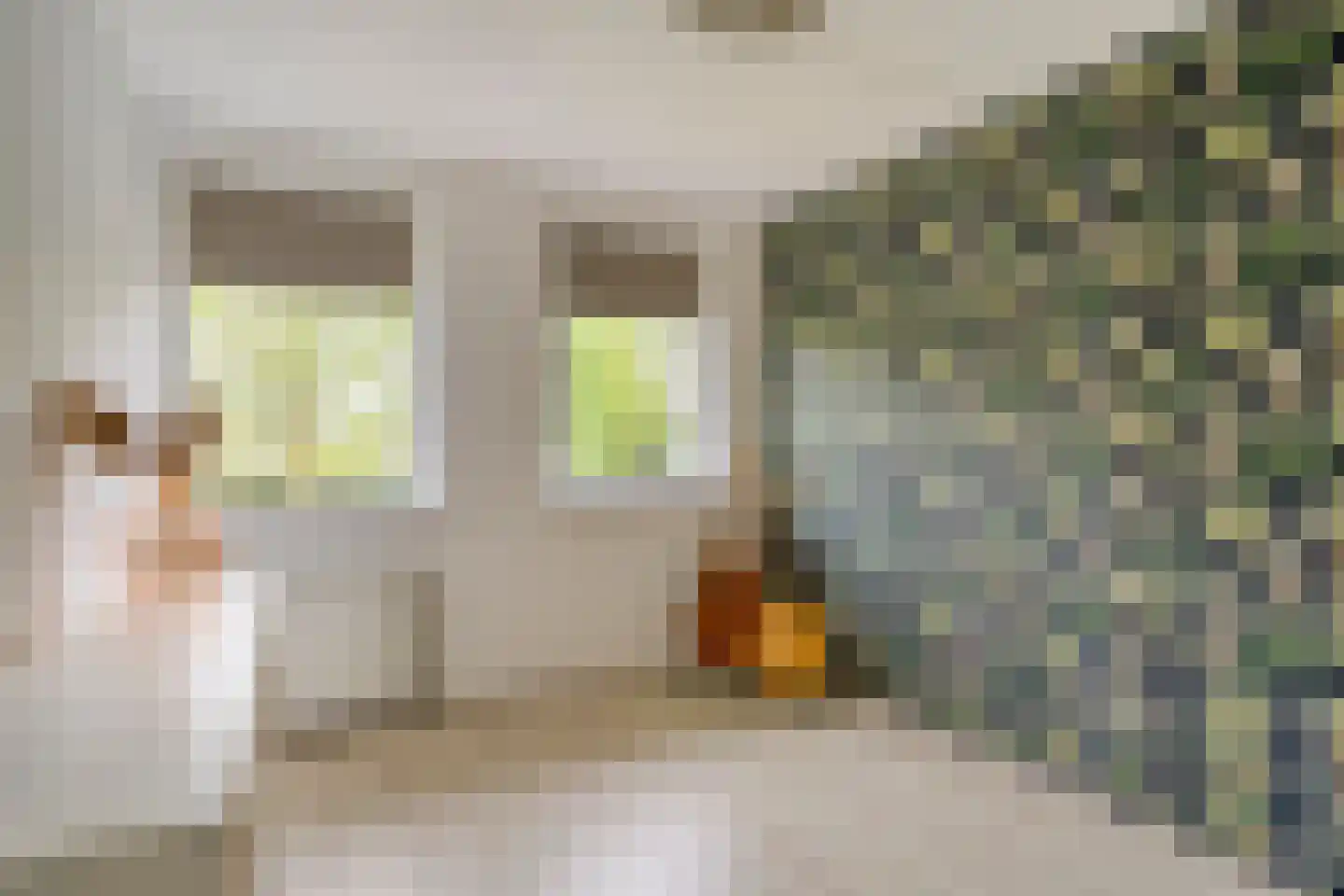 Fruitlaan 24 Bemmel thumbnail 52