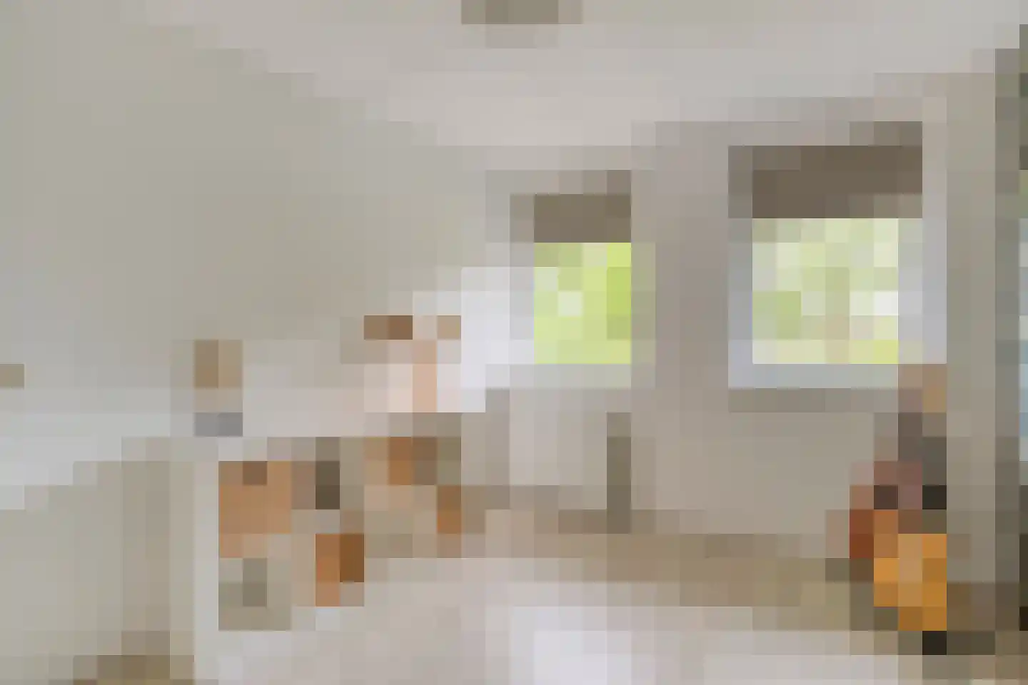 Fruitlaan 24 Bemmel thumbnail 53