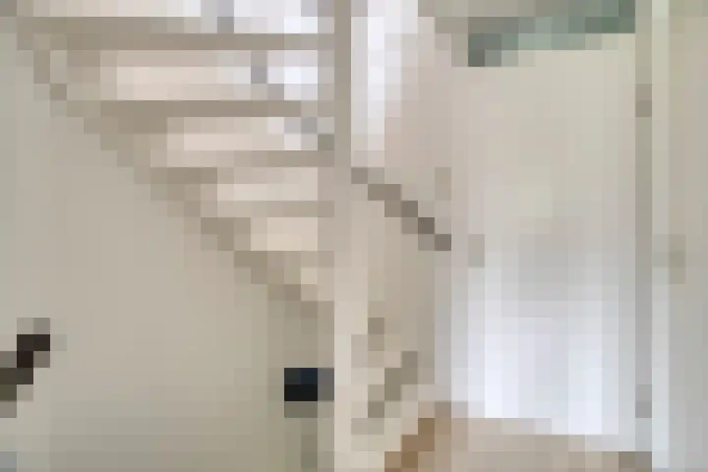 Fruitlaan 24 Bemmel thumbnail 55