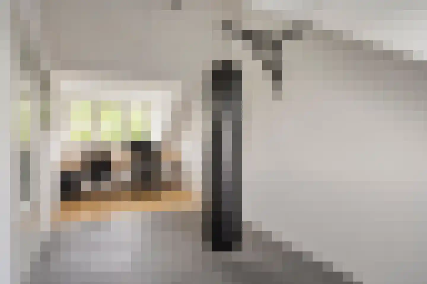 Fruitlaan 24 Bemmel thumbnail 60