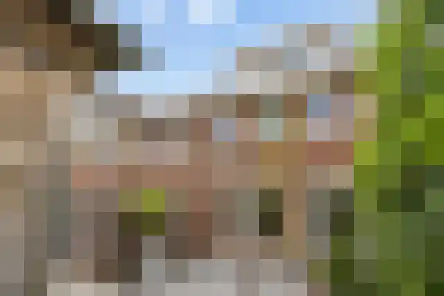 Fruitlaan 24 Bemmel thumbnail 66