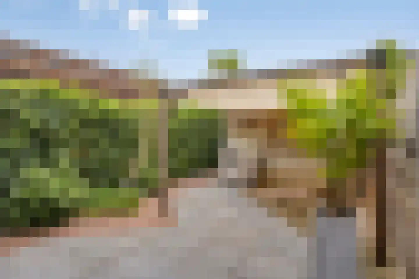 Fruitlaan 24 Bemmel thumbnail 70