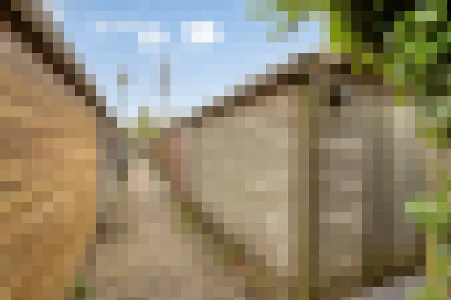 Fruitlaan 24 Bemmel thumbnail 71