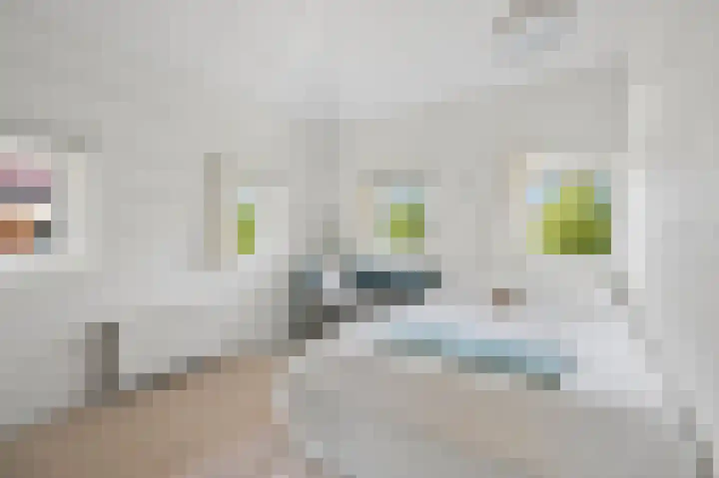 Fruitlaan 24 Nijmegen thumbnail 27