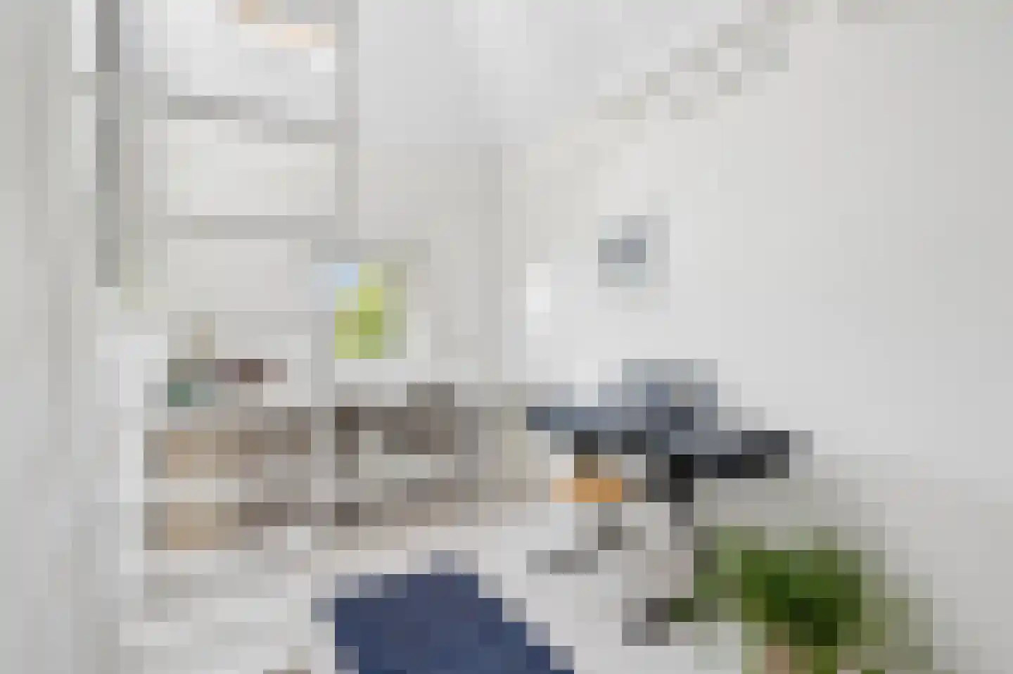 Fruitlaan 24 Nijmegen thumbnail 34