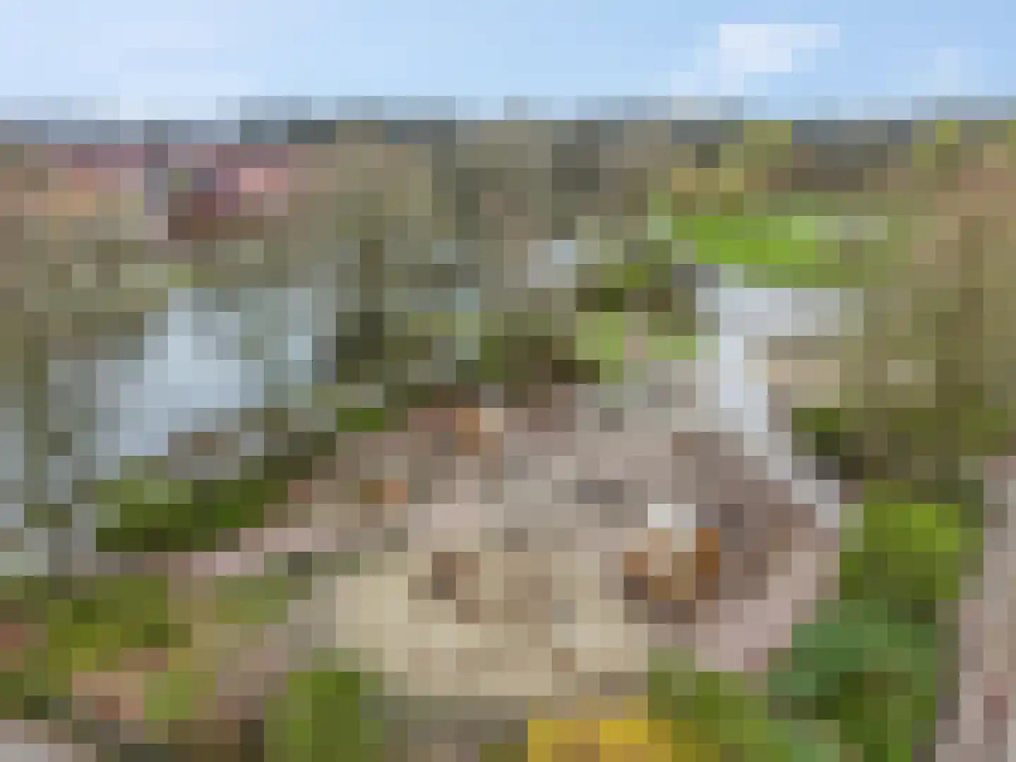 Fruitlaan 24 Nijmegen thumbnail 47