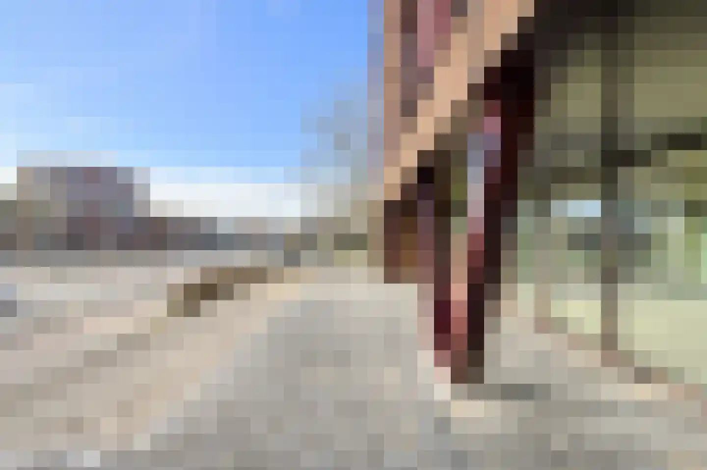 Fruitlaan 3 Breda thumbnail 6