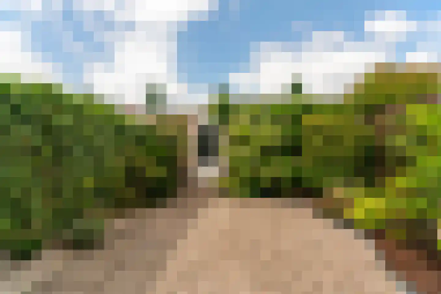 Fruitlaan 30 Nijmegen thumbnail 42