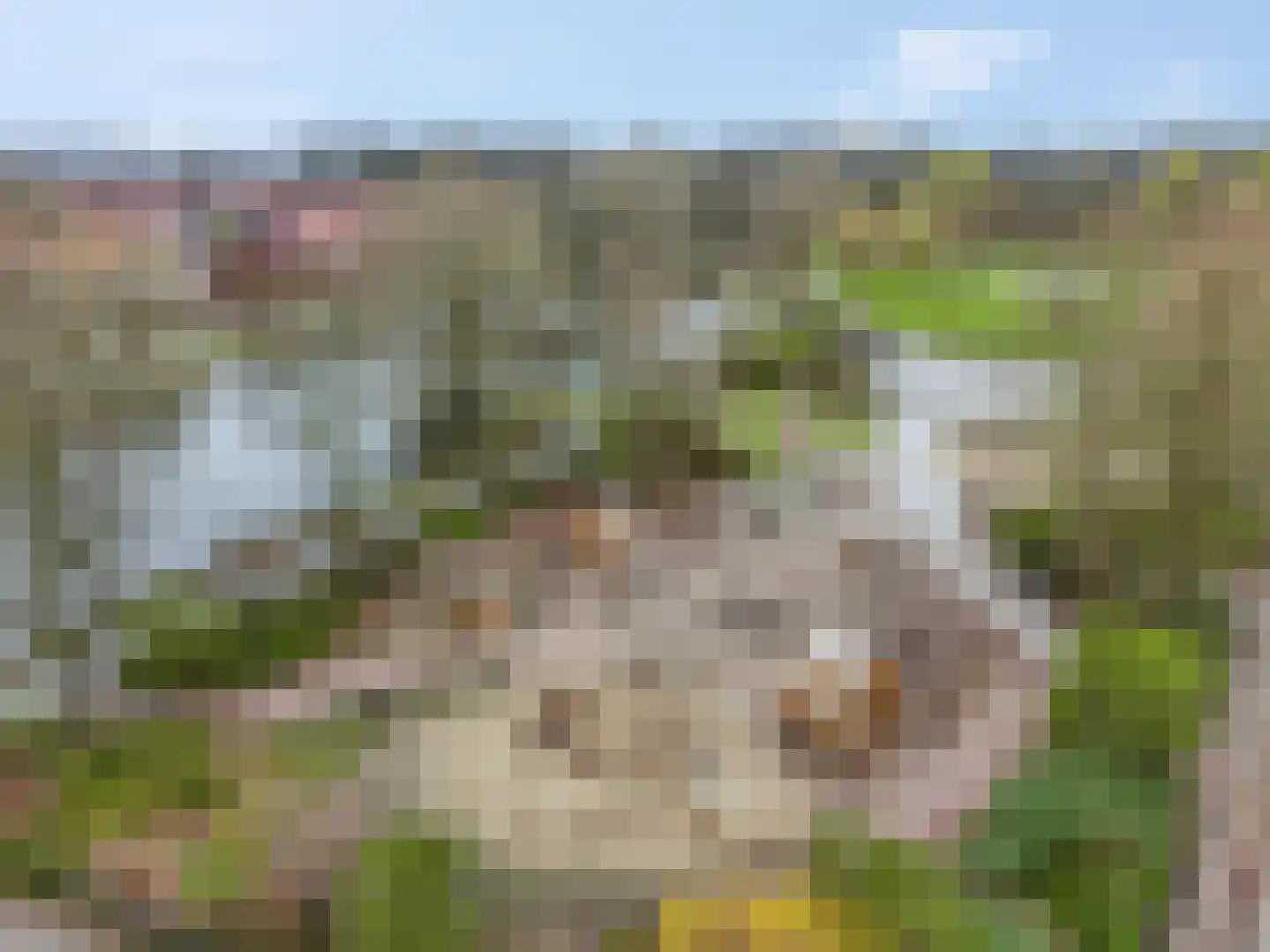Fruitlaan 33 Nijmegen thumbnail 52