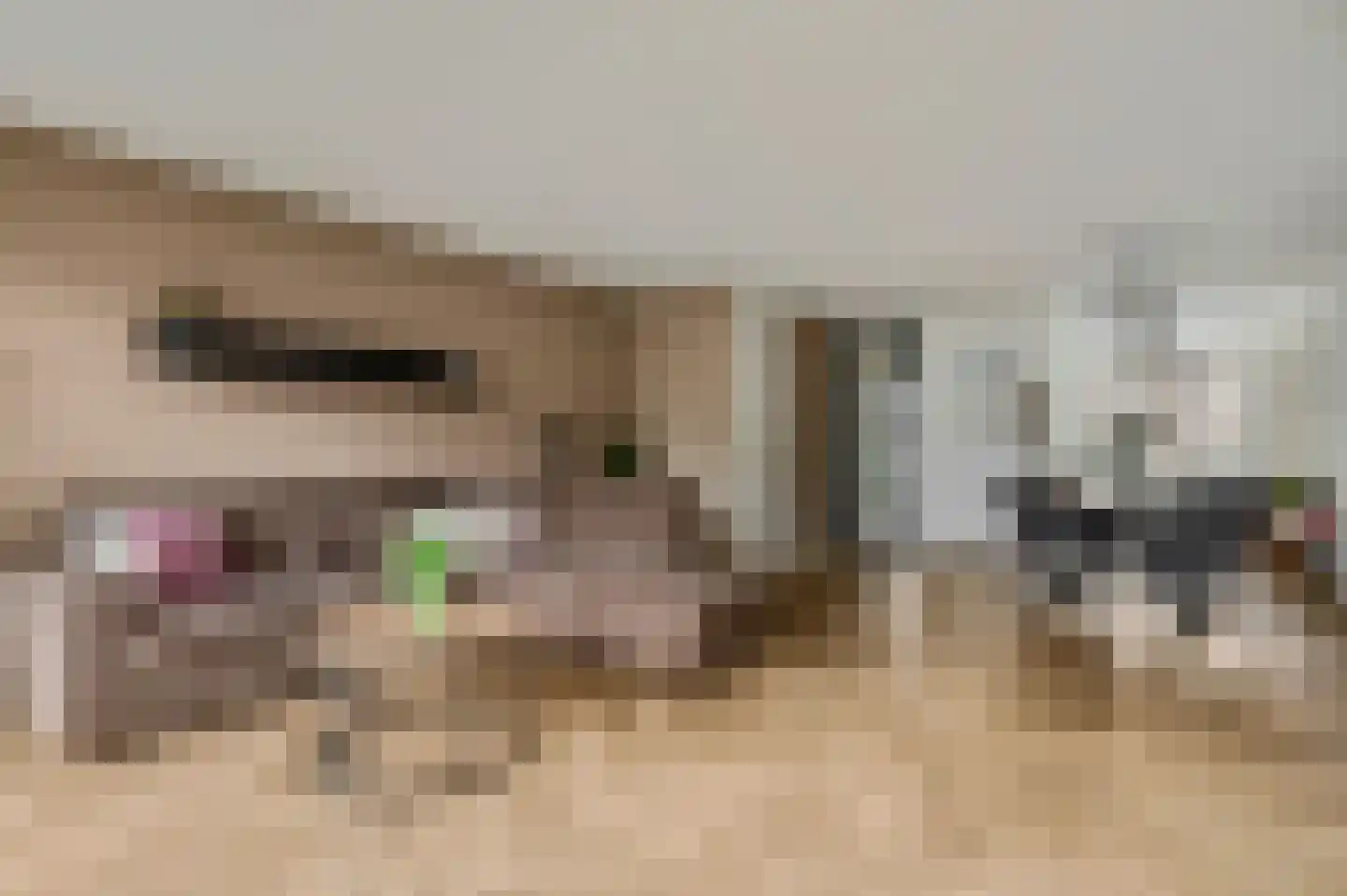 Fruitlaan 33 Nijmegen thumbnail 8
