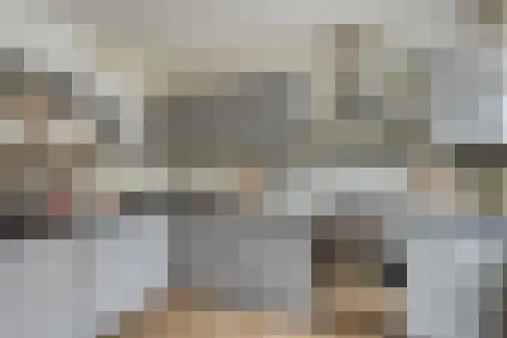 Fruitlaan 33 Zwaag thumbnail 14
