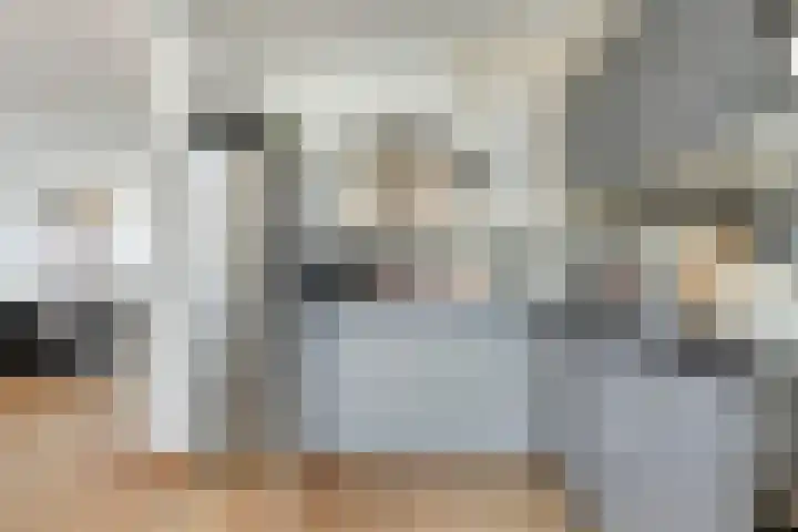 Fruitlaan 33 Zwaag thumbnail 15