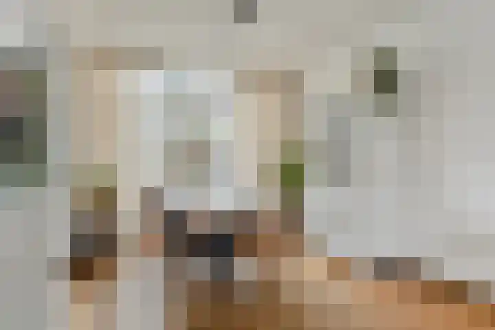 Fruitlaan 33 Zwaag thumbnail 16