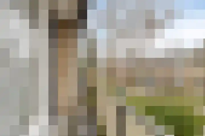 Fruitlaan 33 Zwaag thumbnail 24