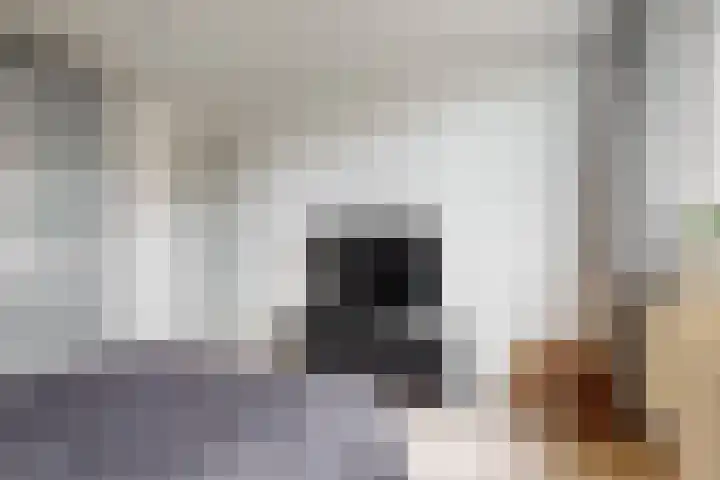Fruitlaan 36 Zwaag thumbnail 15