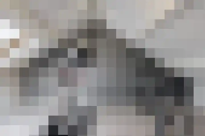 Fruitlaan 36 Zwaag thumbnail 24