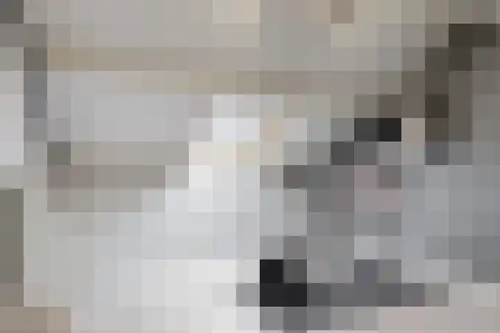 Fruitlaan 36 Zwaag thumbnail 26