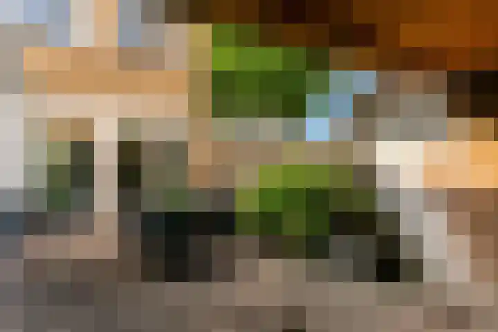 Fruitlaan 36 Zwaag thumbnail 28