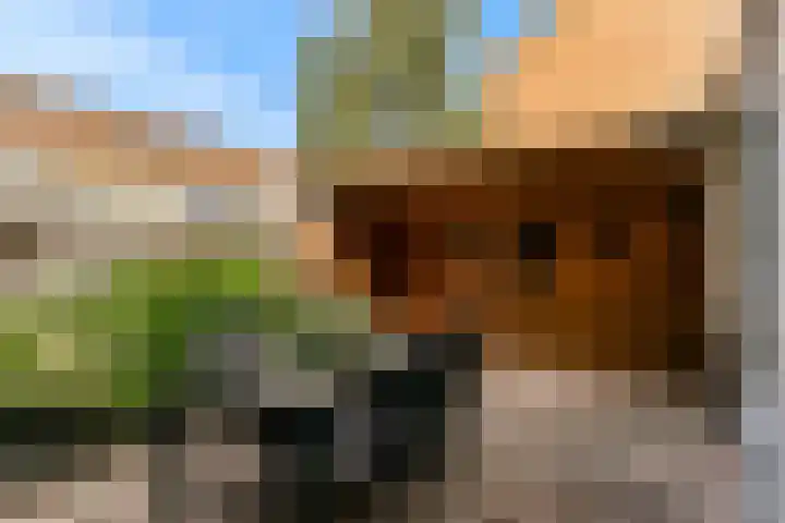 Fruitlaan 36 Zwaag thumbnail 29
