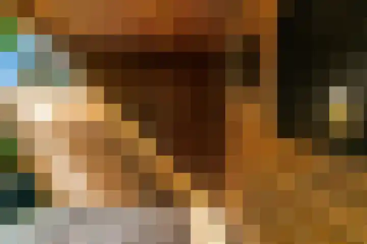 Fruitlaan 36 Zwaag thumbnail 30