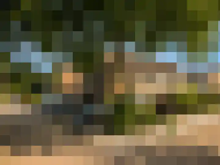 Fruitlaan 36 Zwaag thumbnail 33