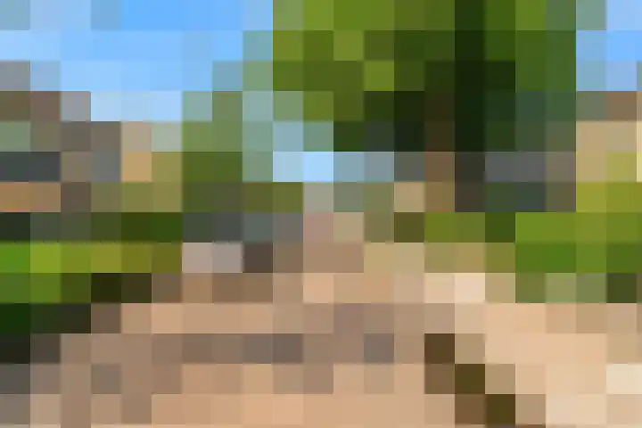 Fruitlaan 36 Zwaag thumbnail 36