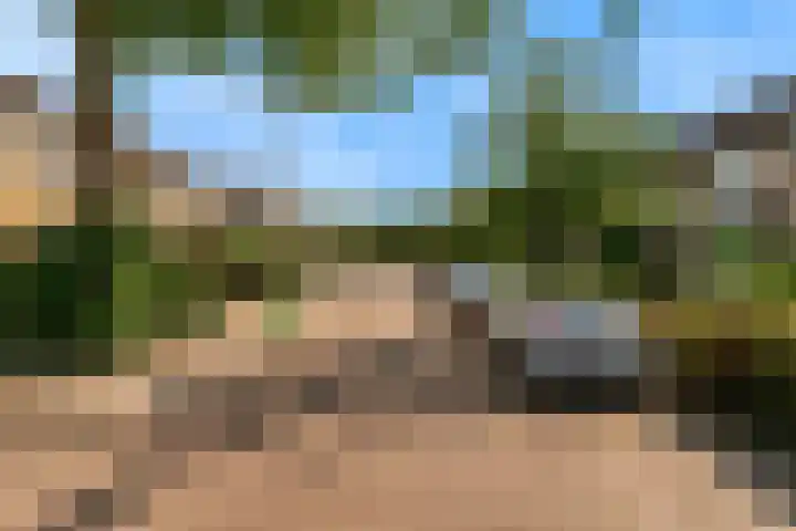 Fruitlaan 36 Zwaag thumbnail 37