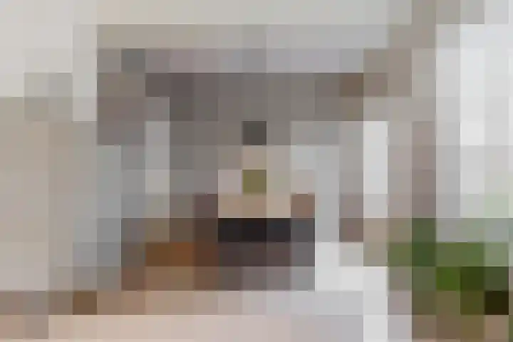 Fruitlaan 36 Zwaag thumbnail 8