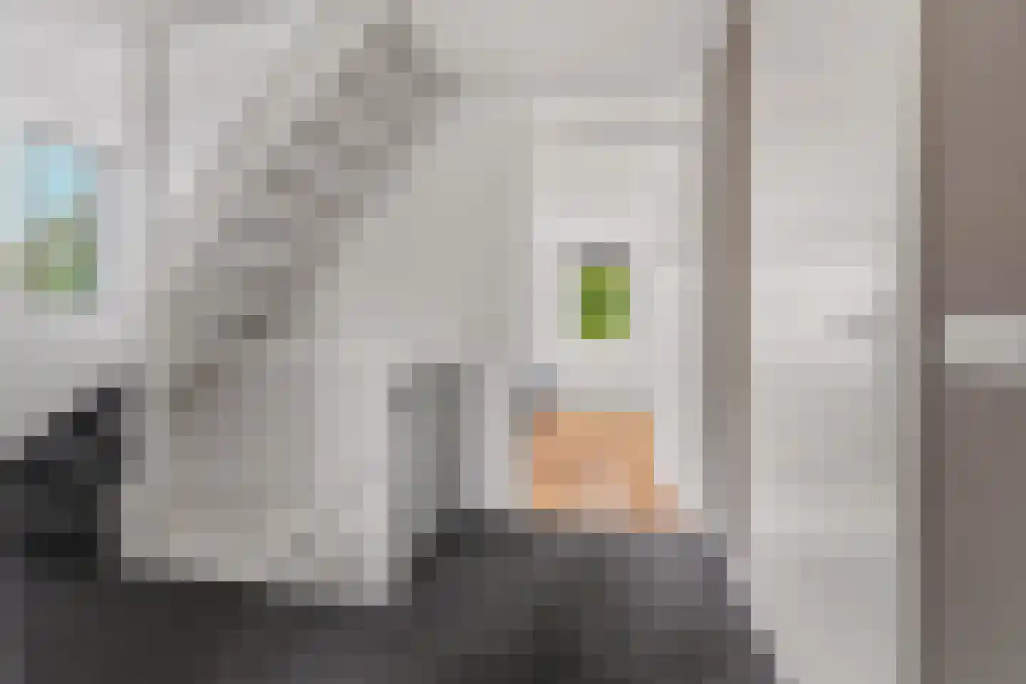 Fruitlaan 46 Nijmegen thumbnail 30