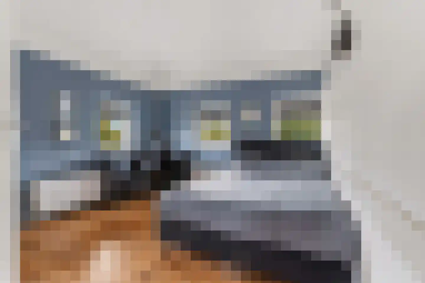 Fruitlaan 46 Nijmegen thumbnail 42