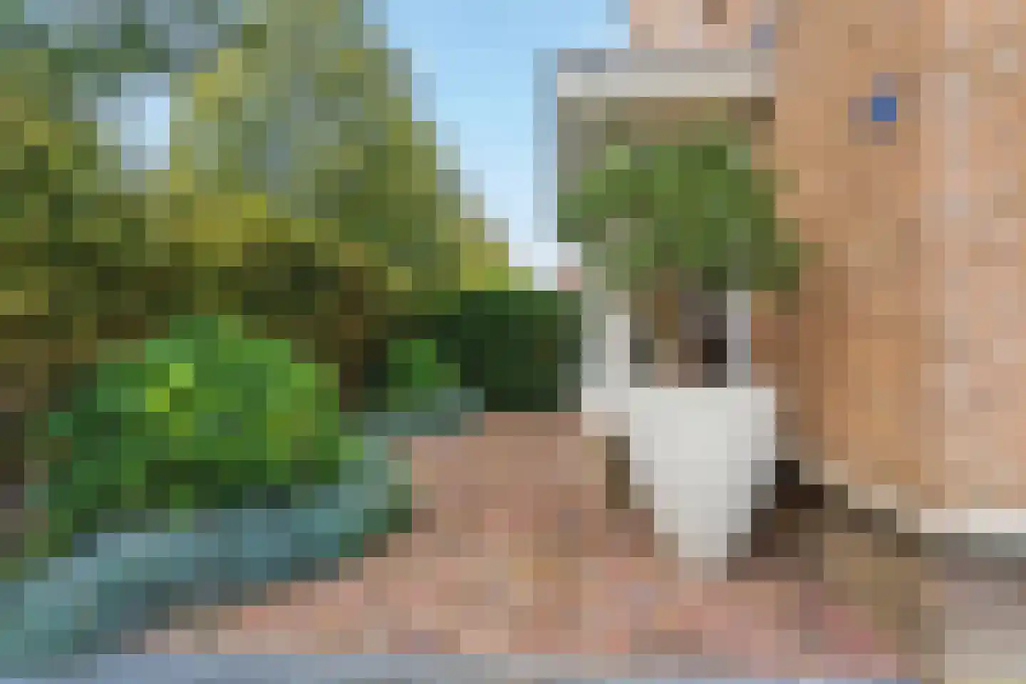 Fruitlaan 46 Nijmegen thumbnail 54