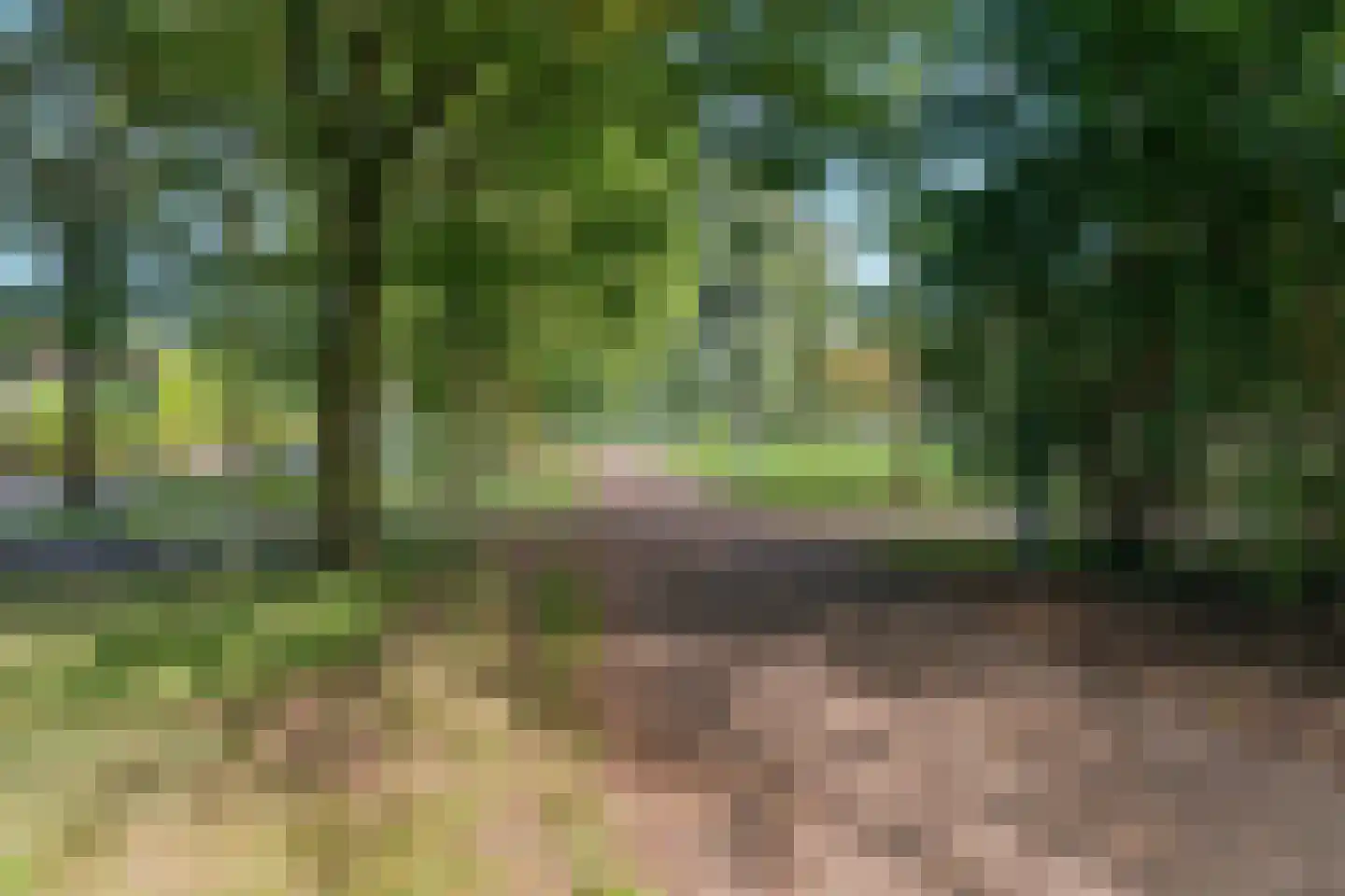 Fruitlaan 46 Nijmegen thumbnail 57